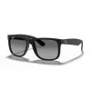 Ray-Ban 0RB4165 622/T3 - Justin