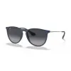 Ray-Ban 0RB4171  60028G - Erika