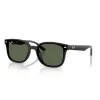 Ray-Ban 0RB4461D 601/71